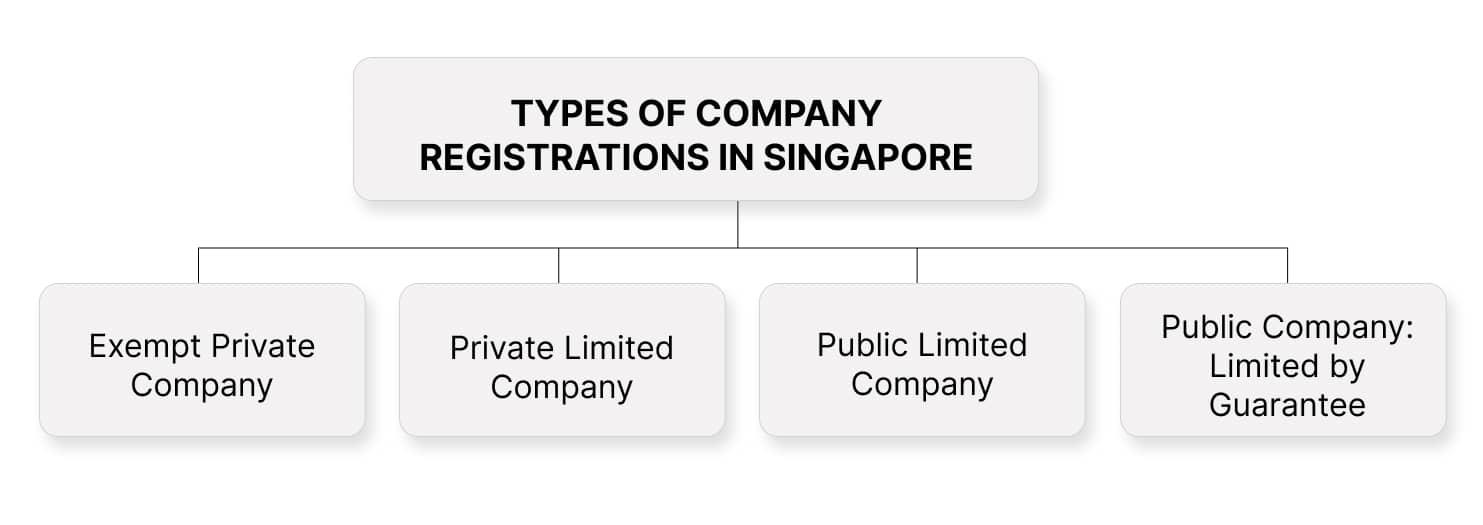 Types of Company Registrations in Singapore